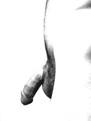 dripping