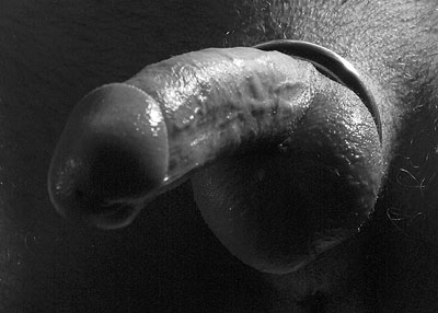 drooping wet